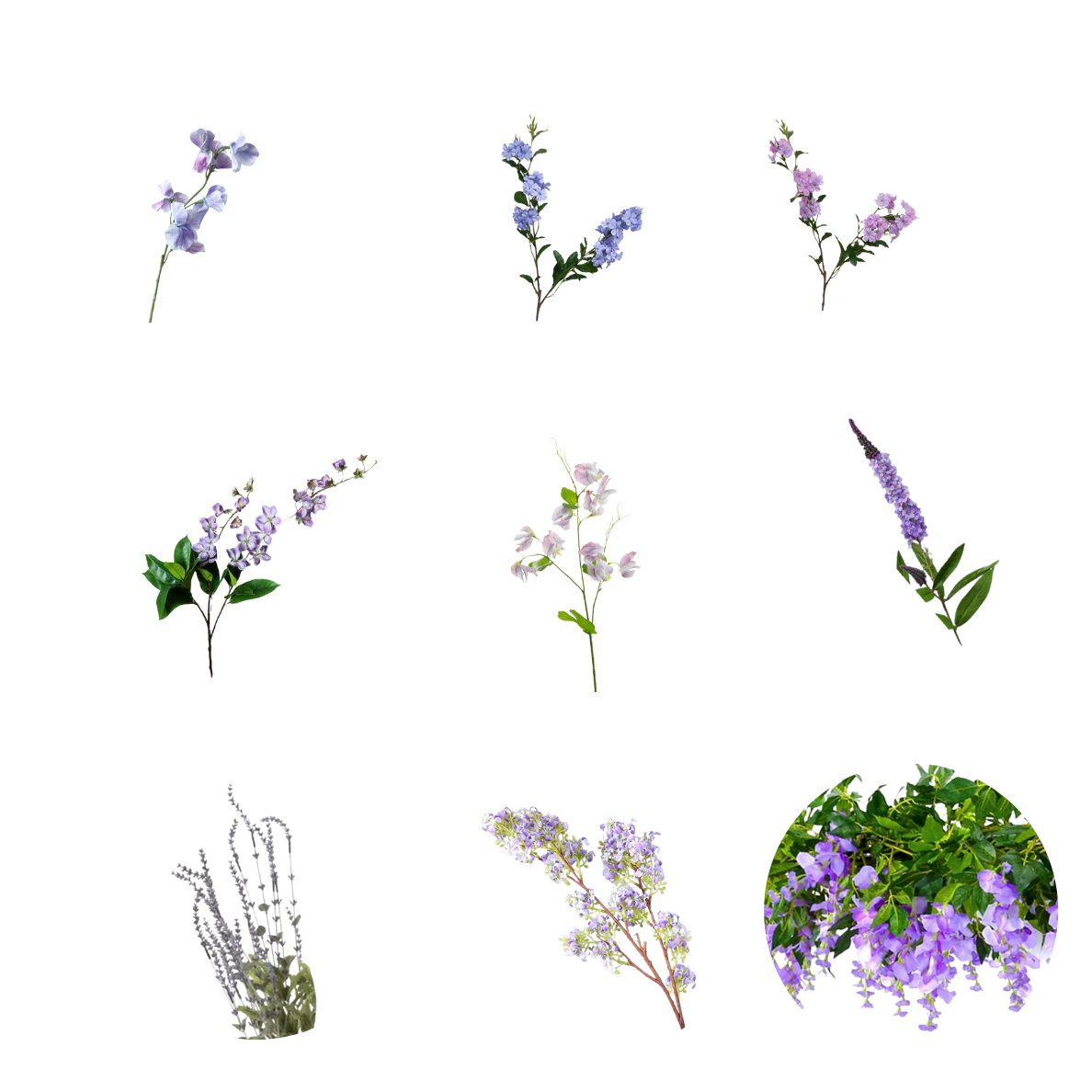 Purple Flowers