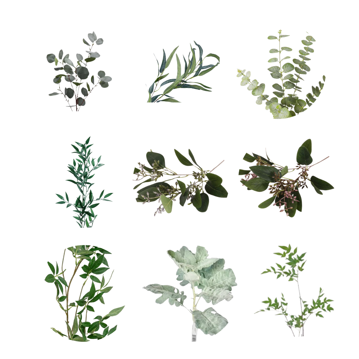 Greenery