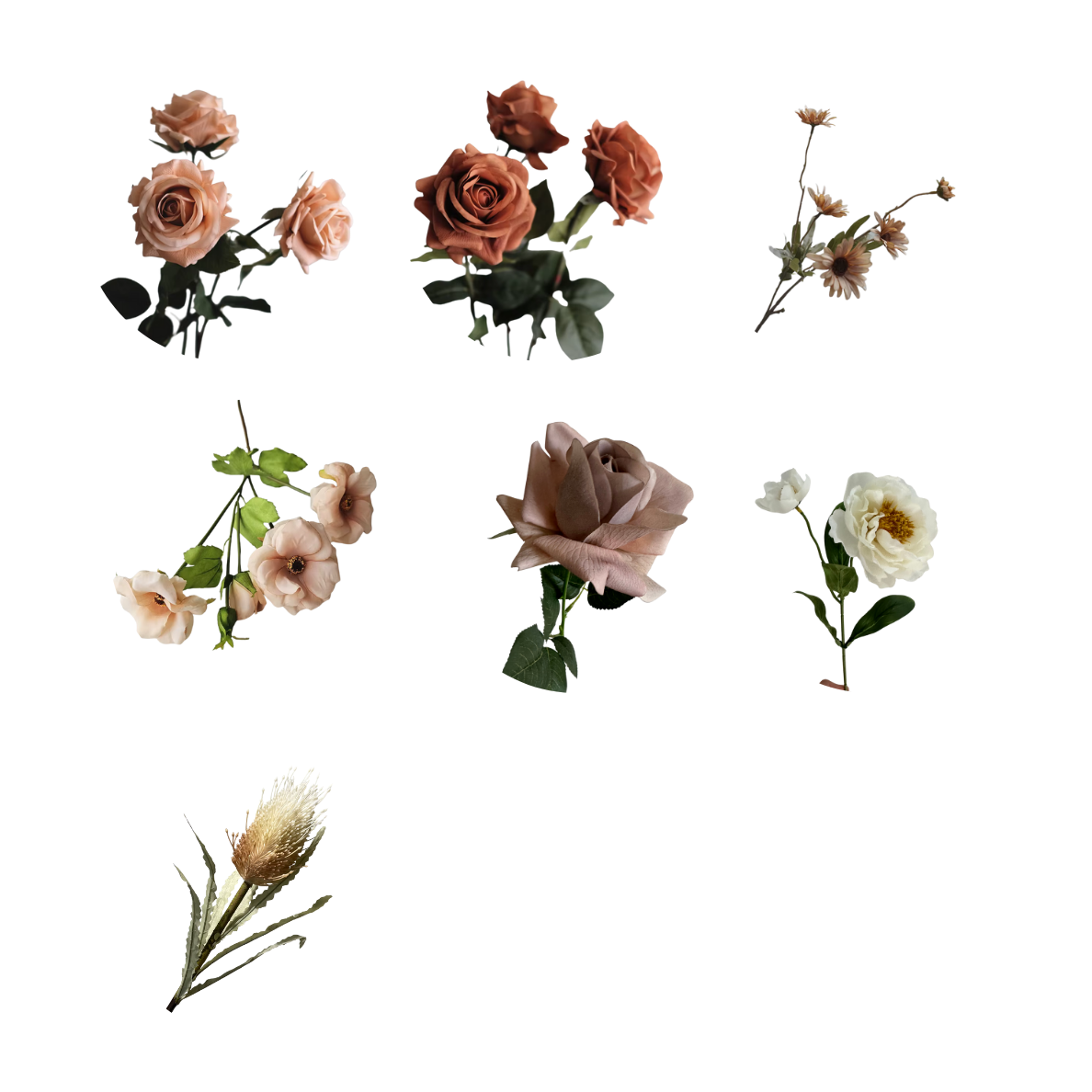 Neutral & Taupe Flowers