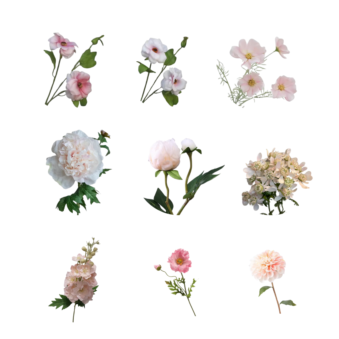 Pink Flowers