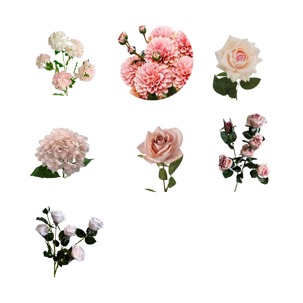 Pink Flowers