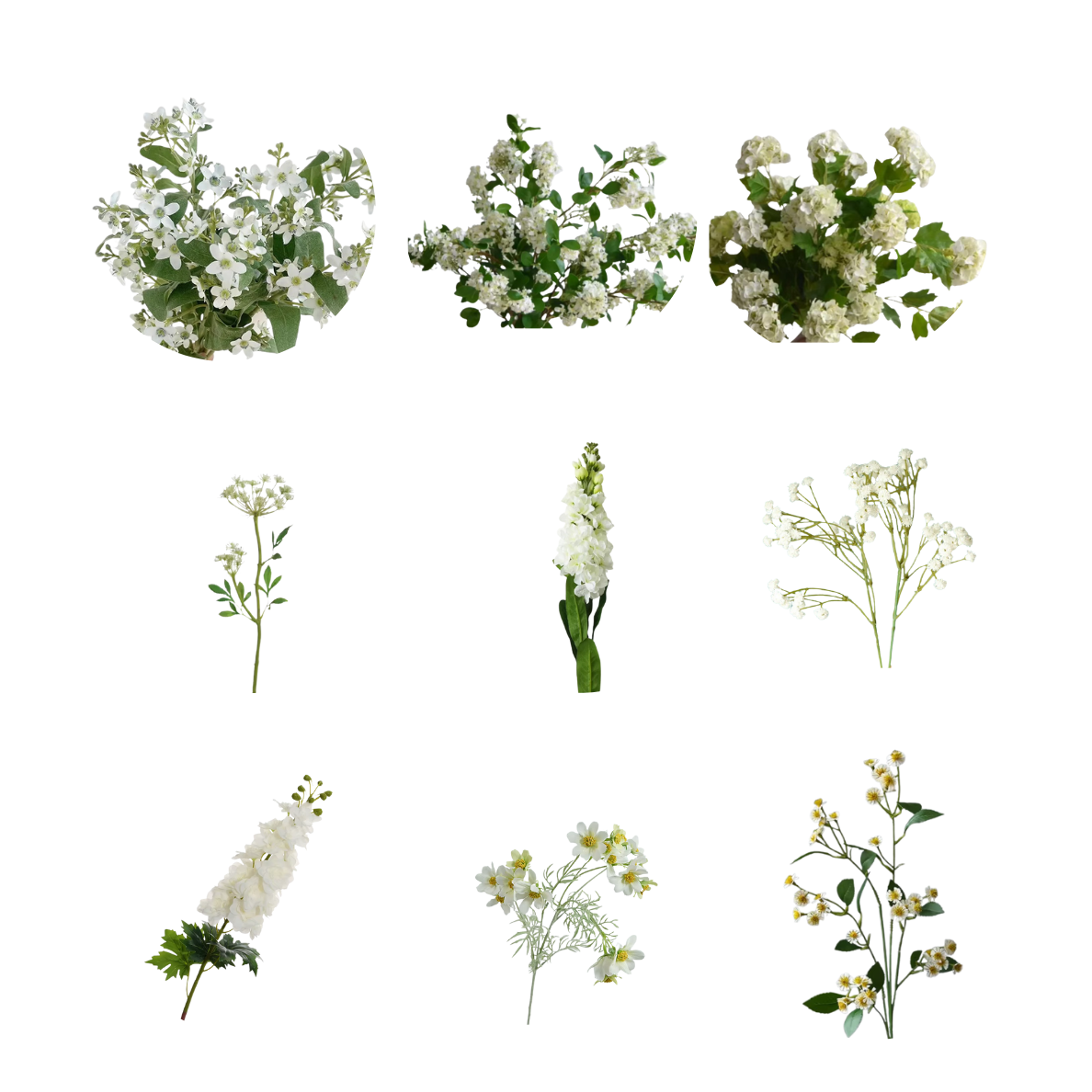 White Flowers