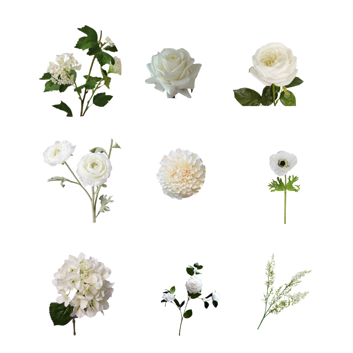 White Flowers