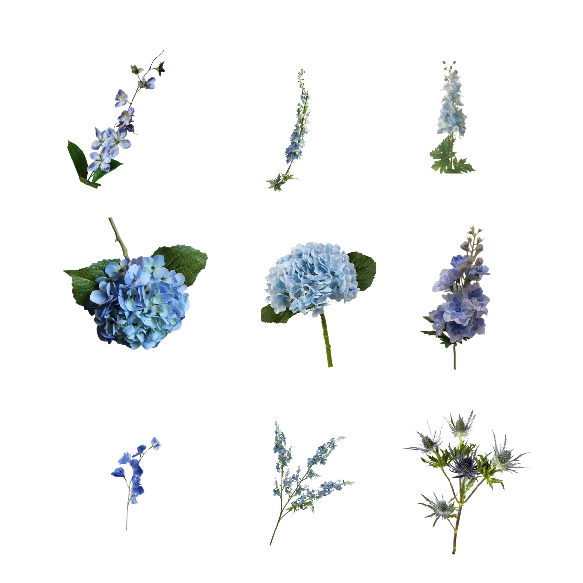 Blue Flowers