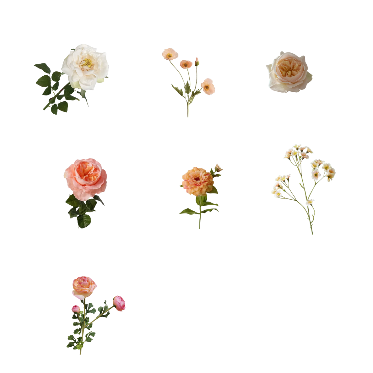 Peach Flowers