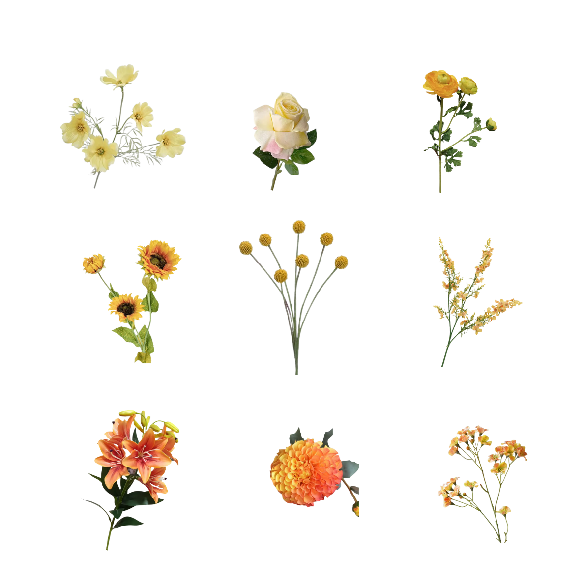 Yellow & Orange Flowers